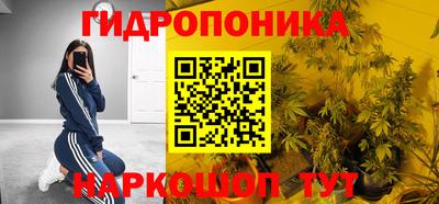 ПСИЛОЦИБИНОВЫЕ ГРИБЫ Лесосибирск