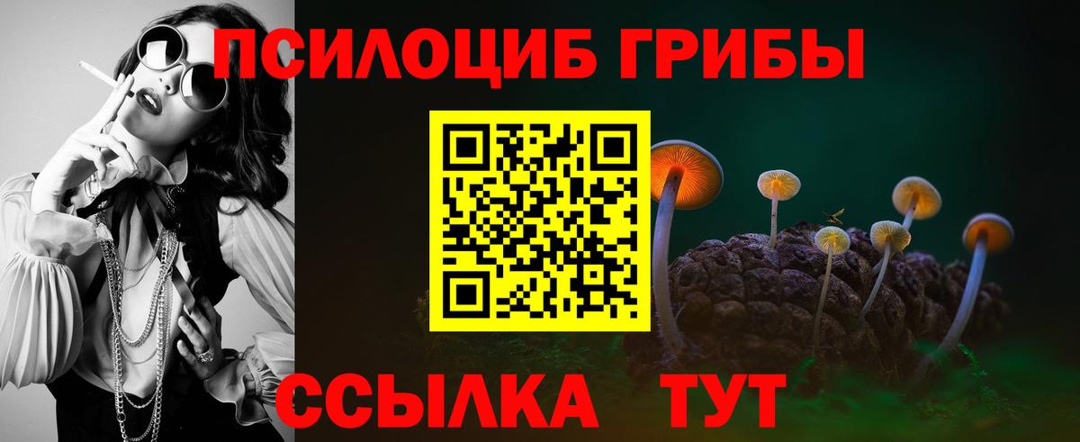 Чебоксары  Галлюциногенные грибы Psilocybe  наркотики  Вход с VPN 